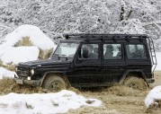 Mercedes-Benz G-Class Edition30 Mercedes-Benz G-Class Edition30